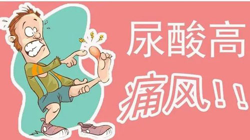 尿酸高和嘌呤高是一回事吗